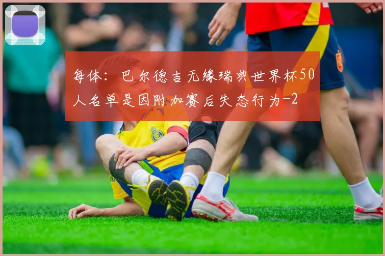 每体：巴尔德吉无缘瑞典世界杯50人名单是因附加赛后失态行为