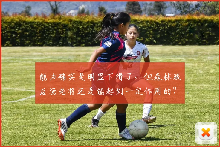 能力确实是明显下滑了，但森林狼后场老将还是能起到一定作用的？