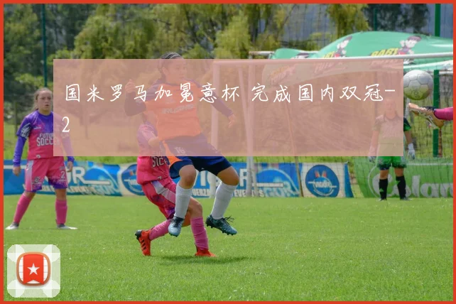 国米罗马加冕意杯 完成国内双冠
