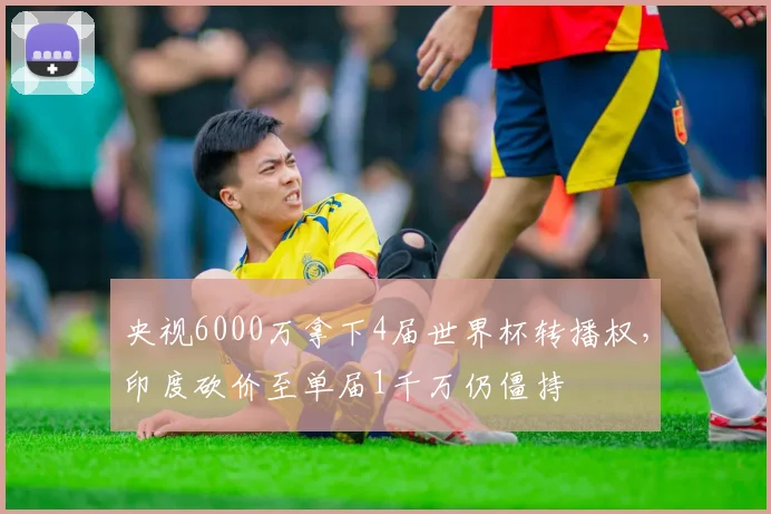 央视6000万拿下4届世界杯转播权，印度砍价至单届1千万仍僵持